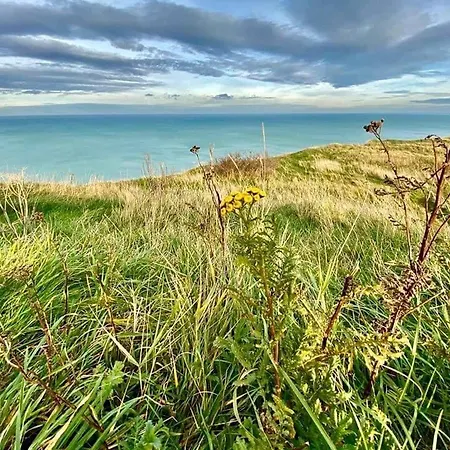 A 50m Reves Bleus Les Bains De Διαμέρισμα Mers-les-Bains