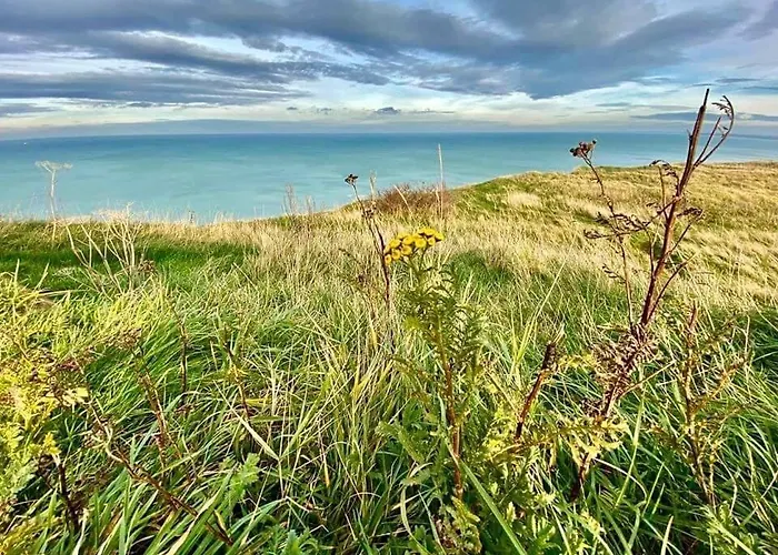 à 50m Rêves Bleus Les Bains De Appartement Mers-les-Bains