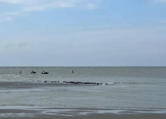 Appartement à 50m Rêves Bleus Les Bains De