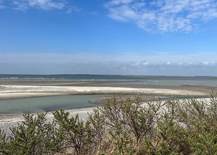 à 50m Rêves Bleus Les Bains De Appartement Mers-les-Bains
