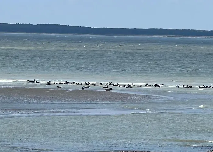à 50m Rêves Bleus Les Bains De Appartement *