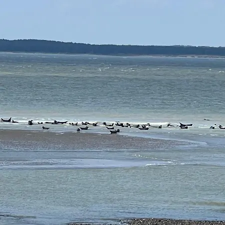 A 50m Reves Bleus Les Bains De Apartment *